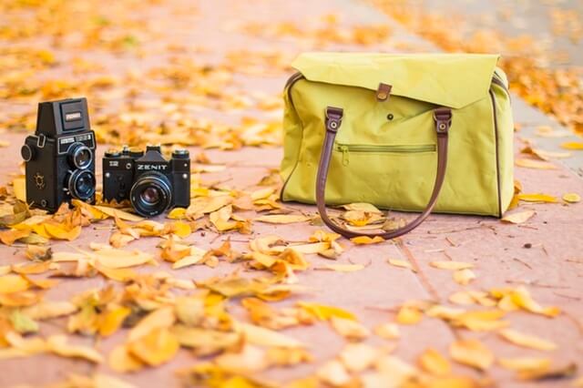 Photograph taken by Adrianna Calvo pexels-photo-8