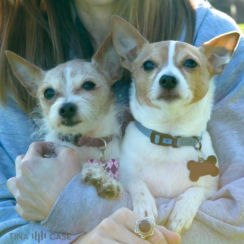 Have the owner hold their shy pets for a cute and cuddly photo. Hold shy pets if you need to.